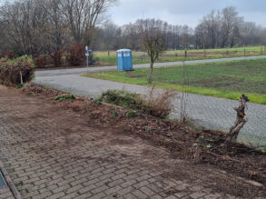 Heckenrodung nachher
