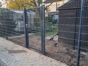 Heckenrodung nachher