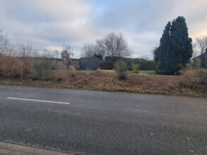 Heckenrodung nachher