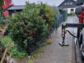 Heckenrodung vorher