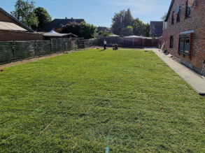 Nach dem Verlegen des Rollrasens