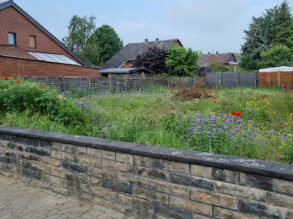 Vor dem Verlegen des Rollrasens