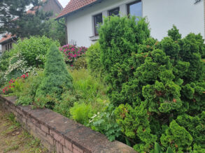 Vor dem Anlegen des Steingartens